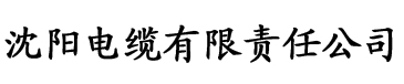 香蕉视频app污污版电缆厂logo